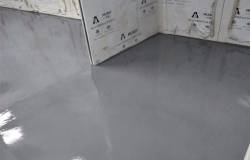 生物制药行业——星鲨制药